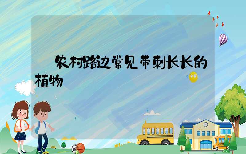  农村路边常见带刺长长的植物